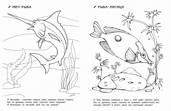 Морские рыбы раскраска для детей