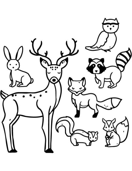 Косуля раскраска