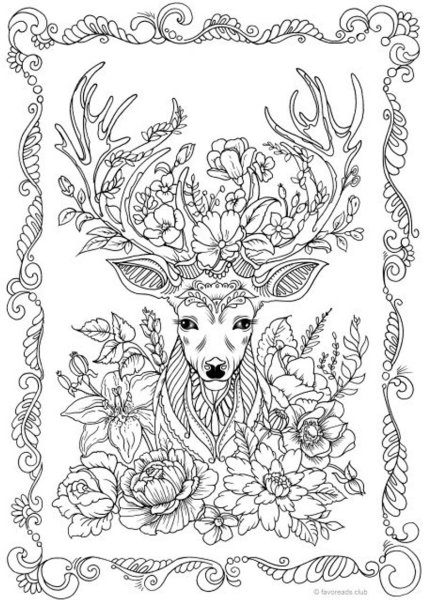 Косуля раскраска