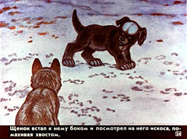 А.Н.Чехов белолобый
