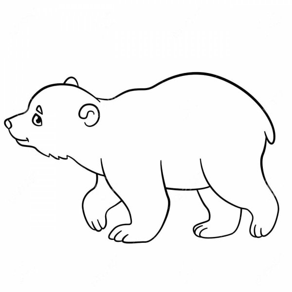 Силуэт белого медведя