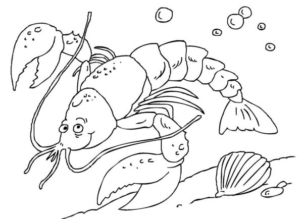 Раскраски осьминог и рыбка (43 фото)