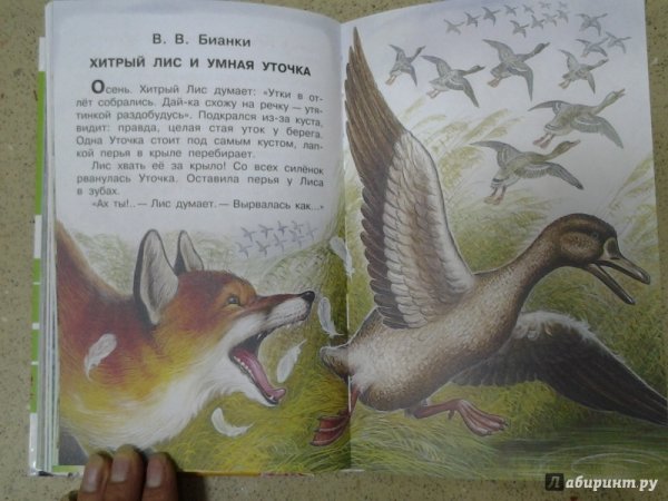 Хитрый Лис и умная уточка книга