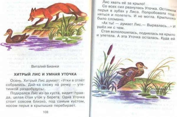 Бианки хитрый Лис и умная уточка план