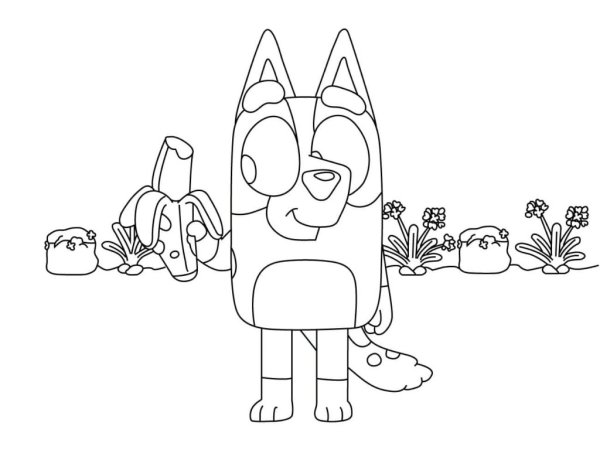 Bluey раскраска