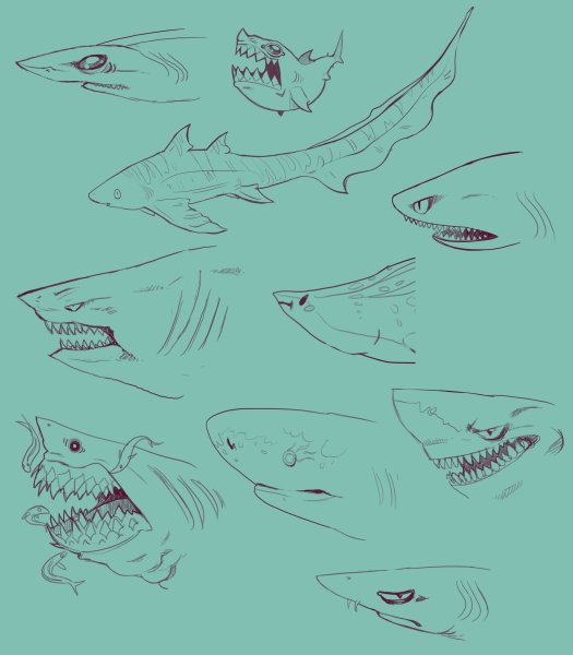Акулы из hungry Shark