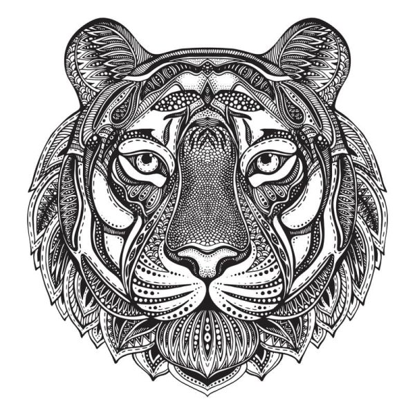 Раскраски очень сложные тигр (50 фото)