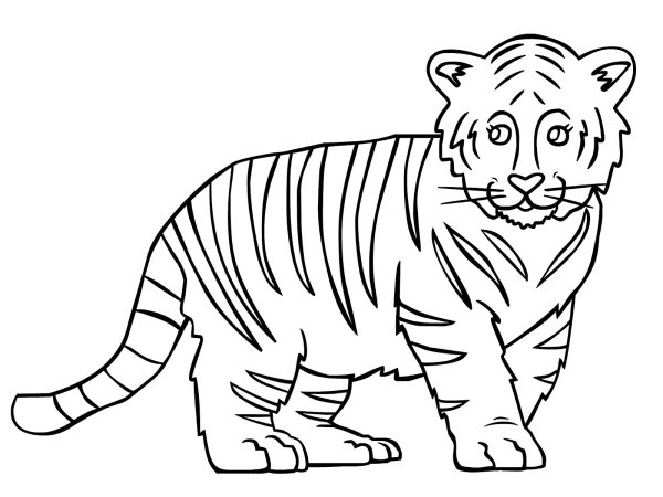 Раскраски большая тигр (46 фото)
