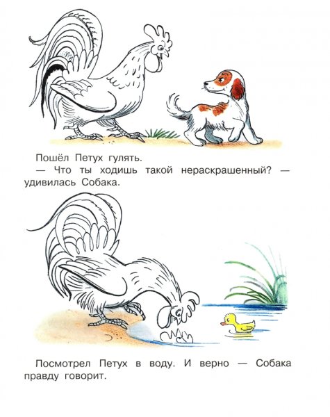 Петух Сутеев