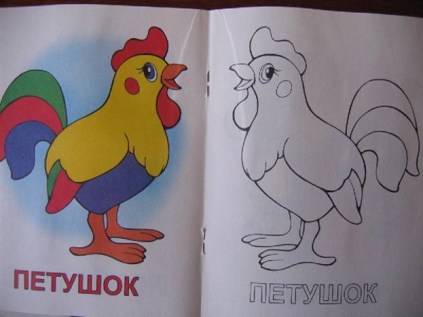 Раскрашивание петушка по образцу