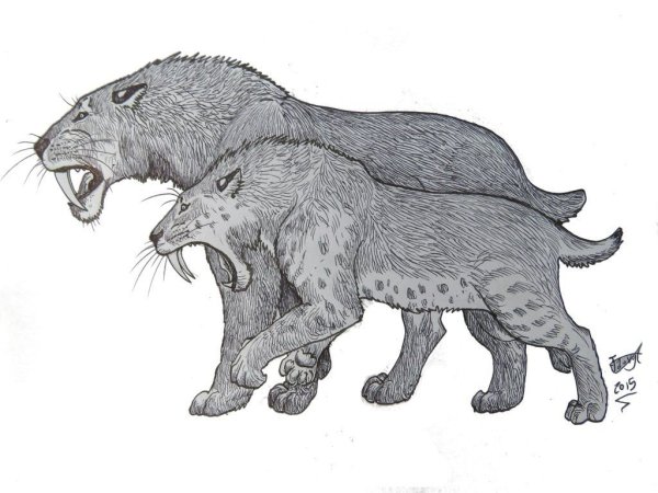 Смилодон Fatalis