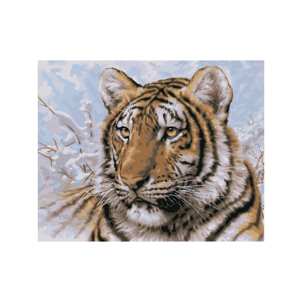 Раскраски по номерам амурский тигр (48 фото)