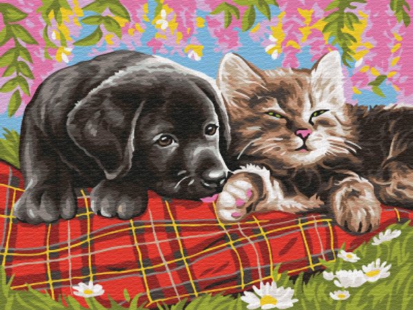 Кошка и собака иллюстрация