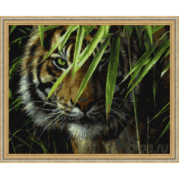 Раскраски по номерам тигр в джунглях (50 фото)