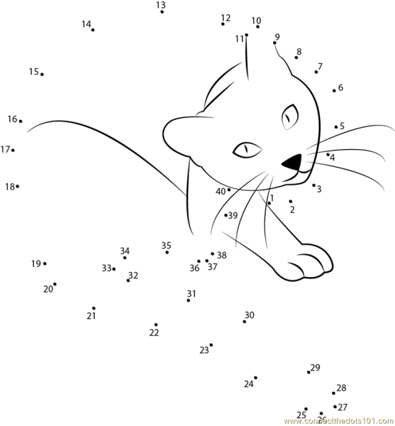 Кошка по точкам