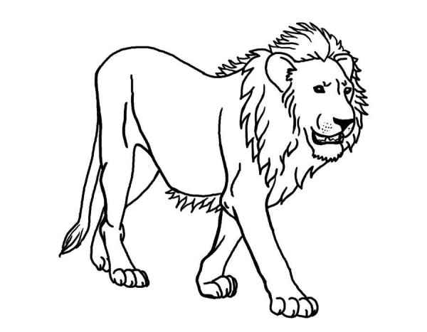 Лев для раскрашивания