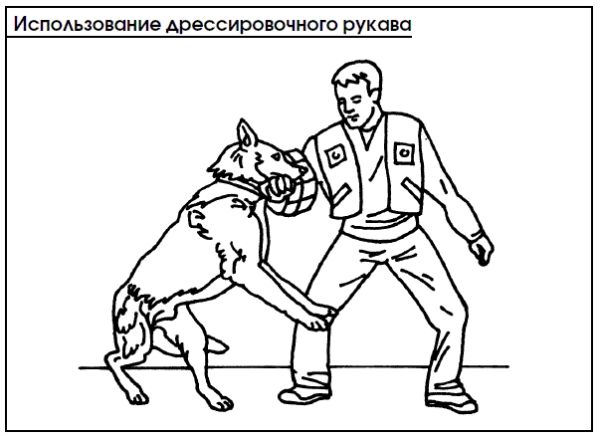 Раскраска полиция с собакой
