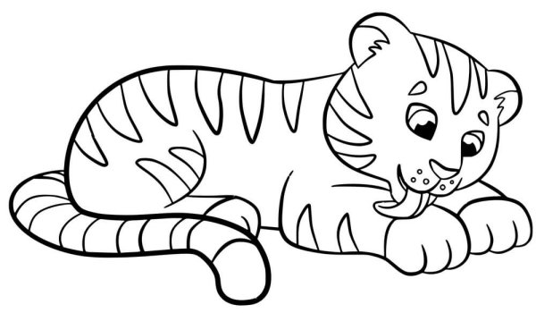 Раскраски полосатый тигр (48 фото)