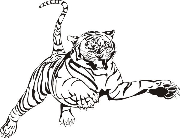 Раскраски порода кошек тигра (45 фото)