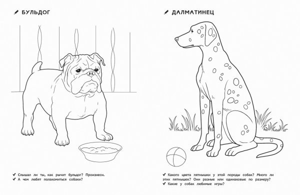 Домашние питомцы. Раскраска