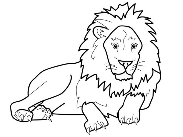 Раскраски портрет льва (44 фото)