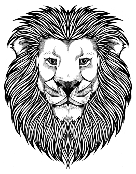 Лев рисунок