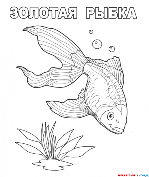 Аквариумные рыбки раскраска для детей
