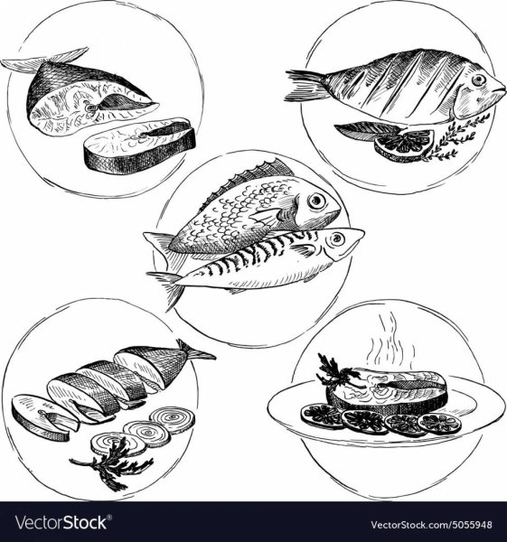Рыбные продукты раскраска
