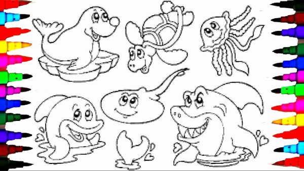 Sea animals раскраска