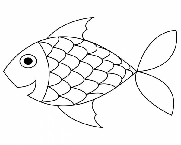 Fish Swim раскраска