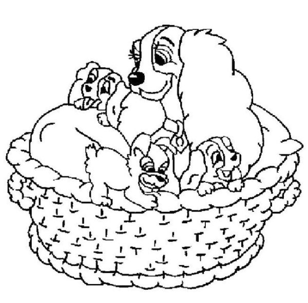 Щенок рисунок раскраска
