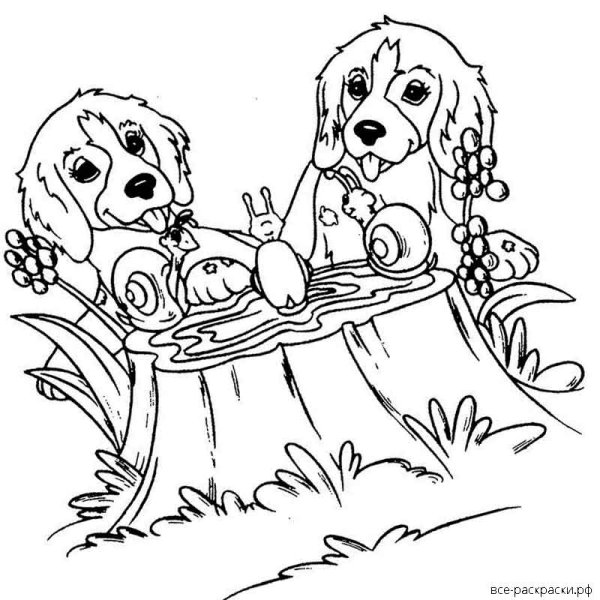 Кошки и собаки раскраски для детей