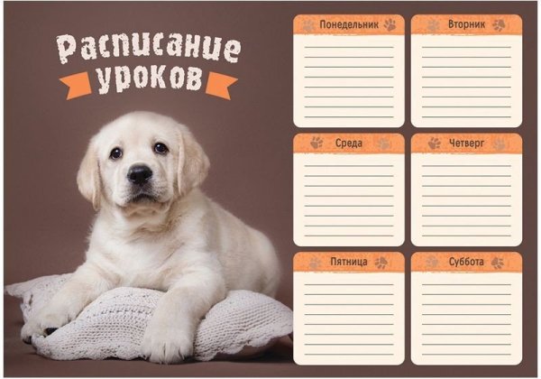 Расписание уроков