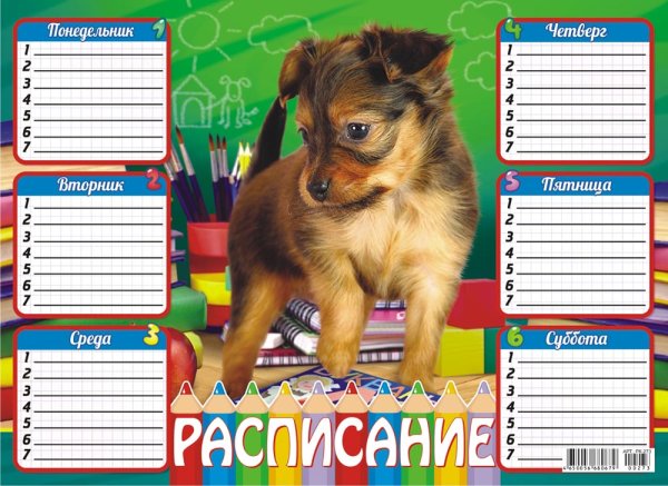 Расписание уроков с собаками