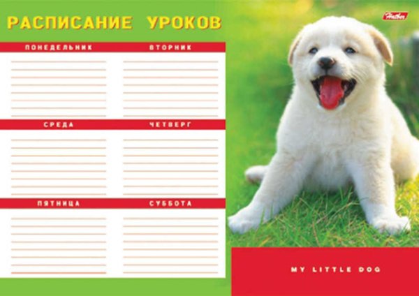 Расписание уроков с собаками
