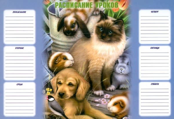 Расписание уроков с котами
