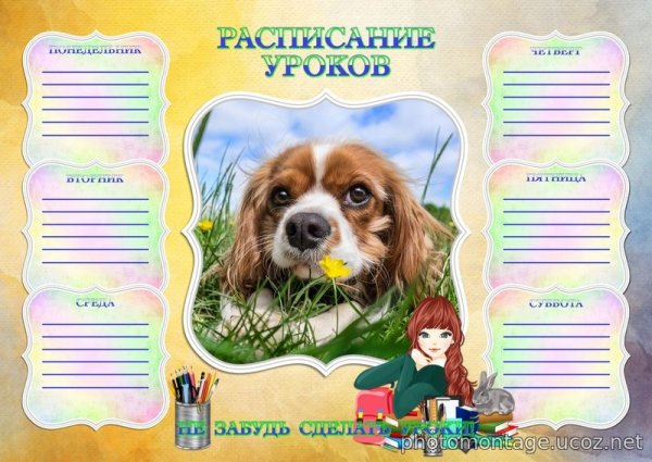 Расписание уроков с животными