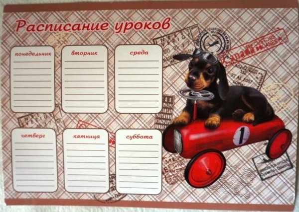 Расписание уроков для девочек с собаками