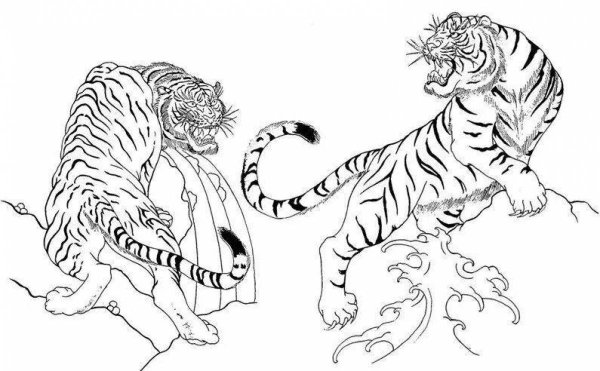 Раскраски джунгли с тигром (39 фото)