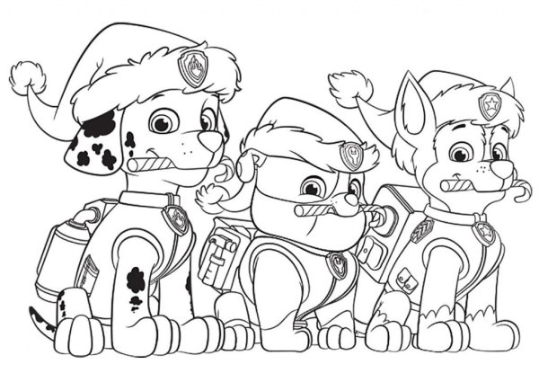Paw Patrol раскраска Скай