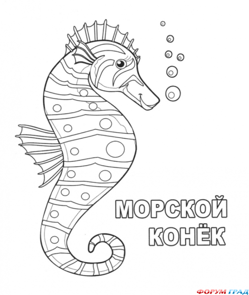 Скалярия аквариумная рыбка раскраска