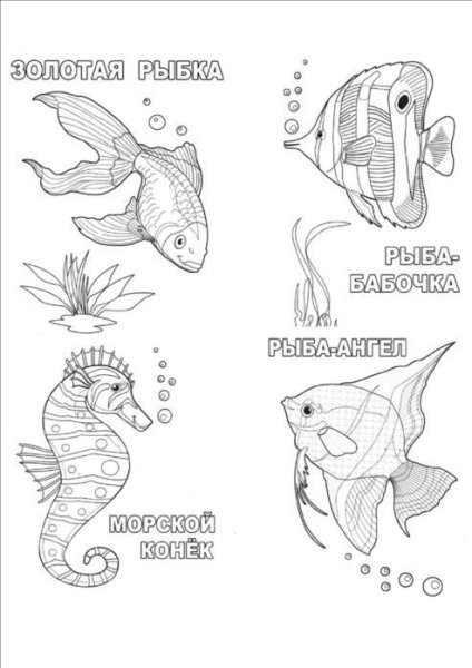 Рыбы Пресноводные и морские для детей