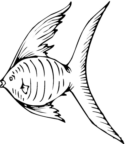 Морские рыбки раскраска