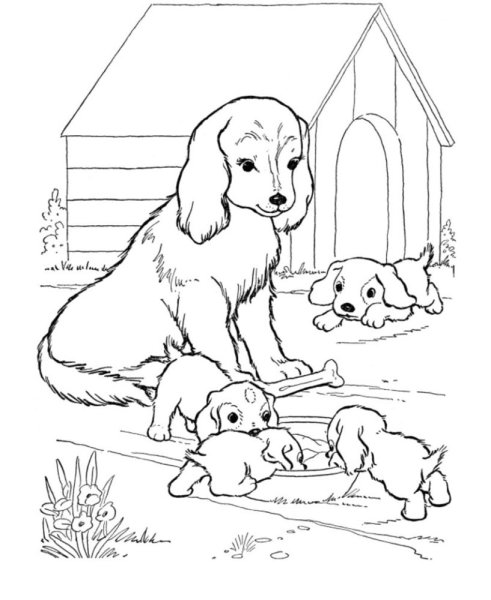 Раскраски собачки Ролли
