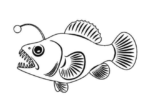 Морские рыбы раскраска