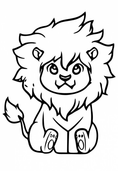 Lion раскраска Baby Lion