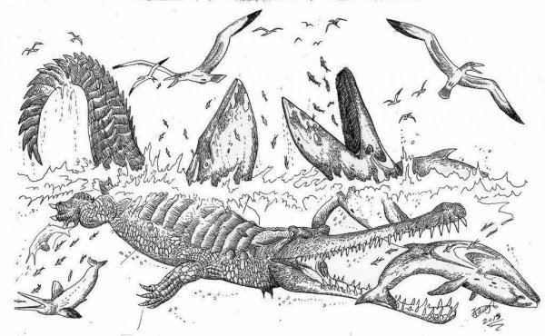 Раскраски доисторические рыбы (43 фото)