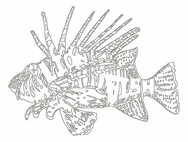 Морские рыбки раскраска