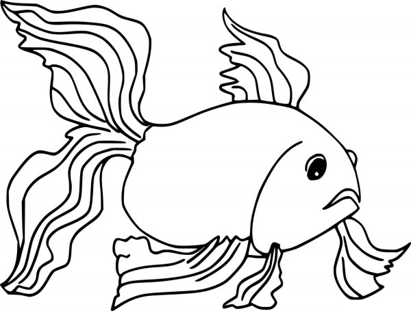 Раскраски рыба золотая рыбка (45 фото)