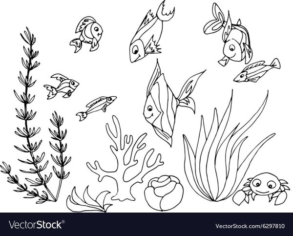 Раскраски рыба и водоросли (45 фото)